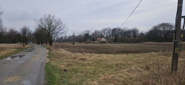 Działka siedliskowa Wrocław Zgorzelisko. Zdjęcie 4