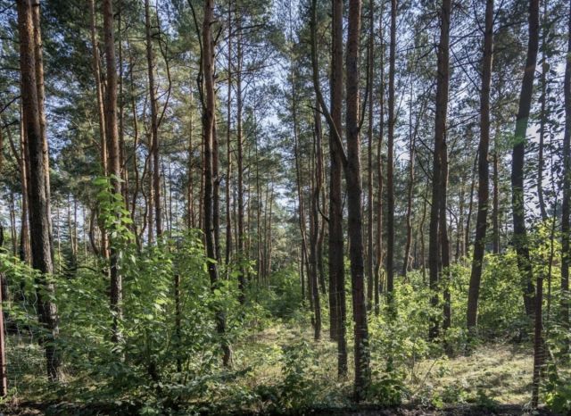 Działka budowlana Warszawa Wawer, ul. Kociszewskich. Zdjęcie 2