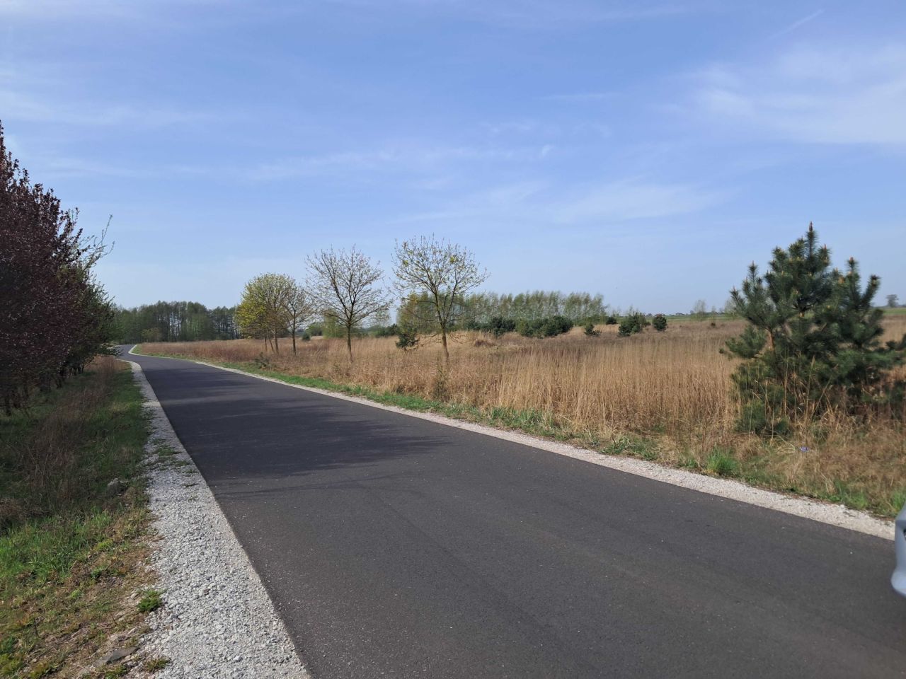 Działka rolno-budowlana Ujazd. Zdjęcie 4