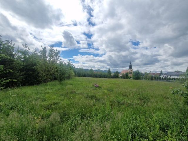 Działka inwestycyjna Sosnówka, ul. Liczyrzepy. Zdjęcie 4