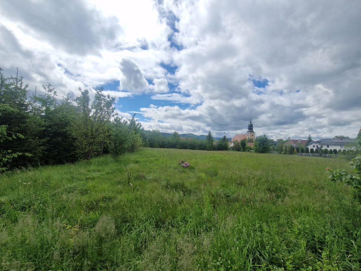 Działka inwestycyjna Sosnówka, ul. Liczyrzepy. Zdjęcie 4