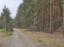 Działka budowlana Zielona Góra Barcikowice. Zdjęcie 2