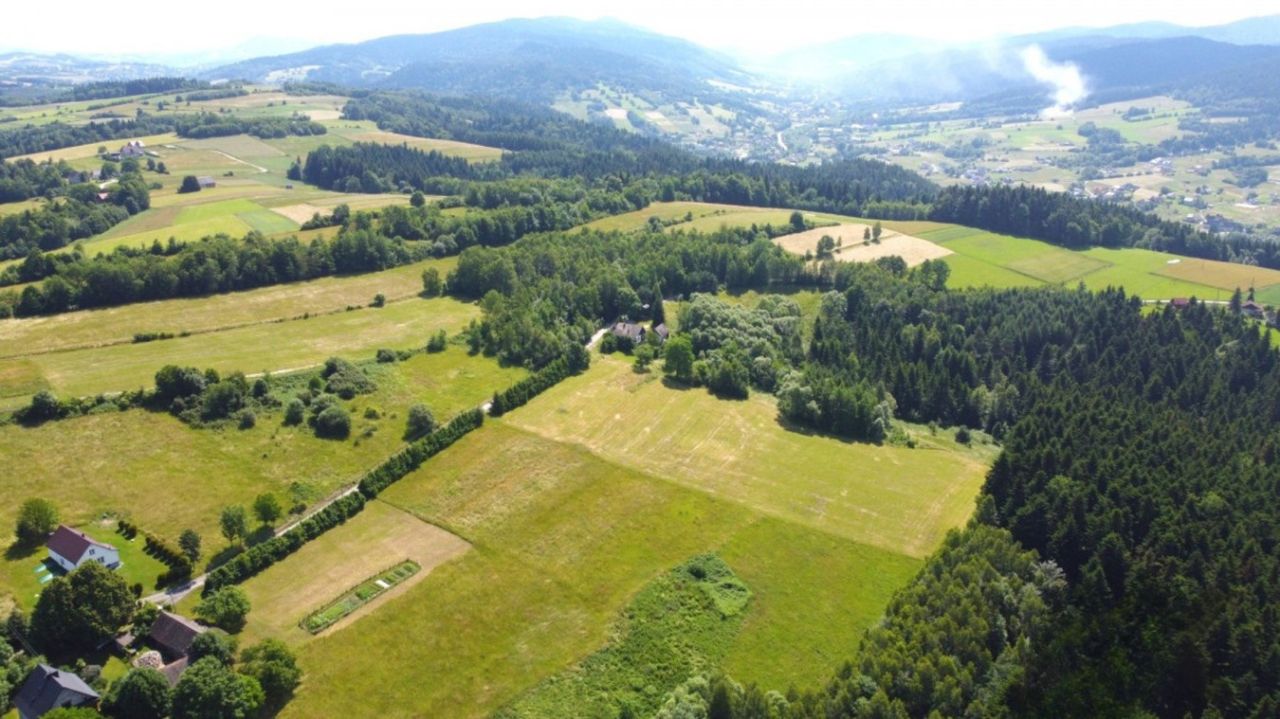 Działka inwestycyjna Mszalnica. Zdjęcie 2