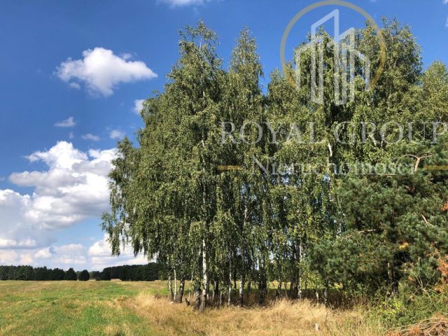 Działka siedliskowa Gołąb. Zdjęcie 6