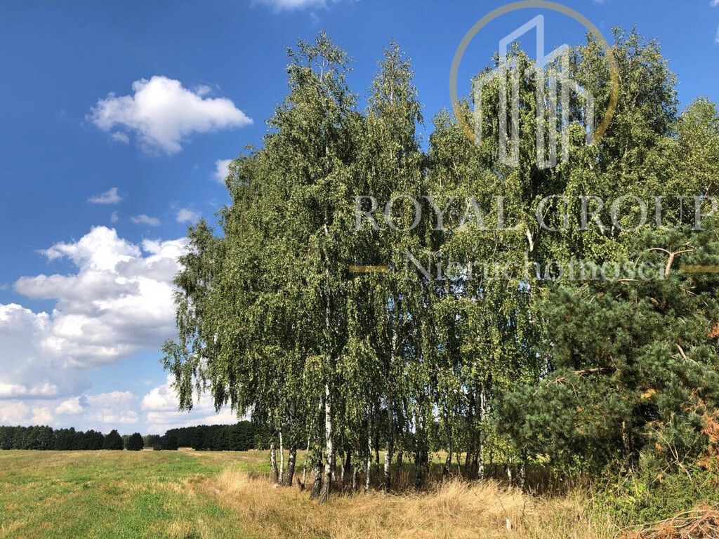 Działka siedliskowa Gołąb. Zdjęcie 6