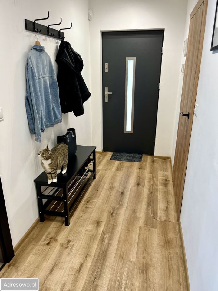 dom wolnostojący, 4 pokoje Domachowo. Zdjęcie 10