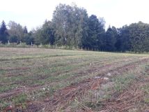 Działka budowlana Zalasowa, ul. Leśna. Zdjęcie 1