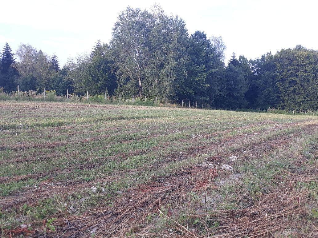 Działka budowlana Zalasowa, ul. Leśna. Zdjęcie 2