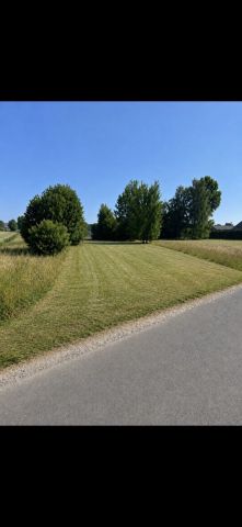 Działka siedliskowa Staw Ujazdowski. Zdjęcie 1