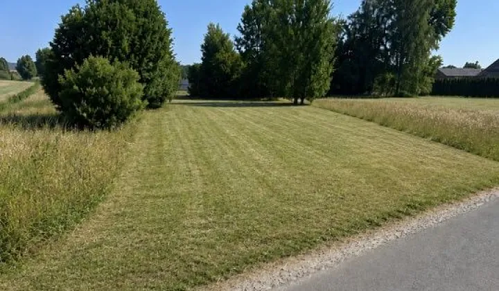 Działka siedliskowa Staw Ujazdowski