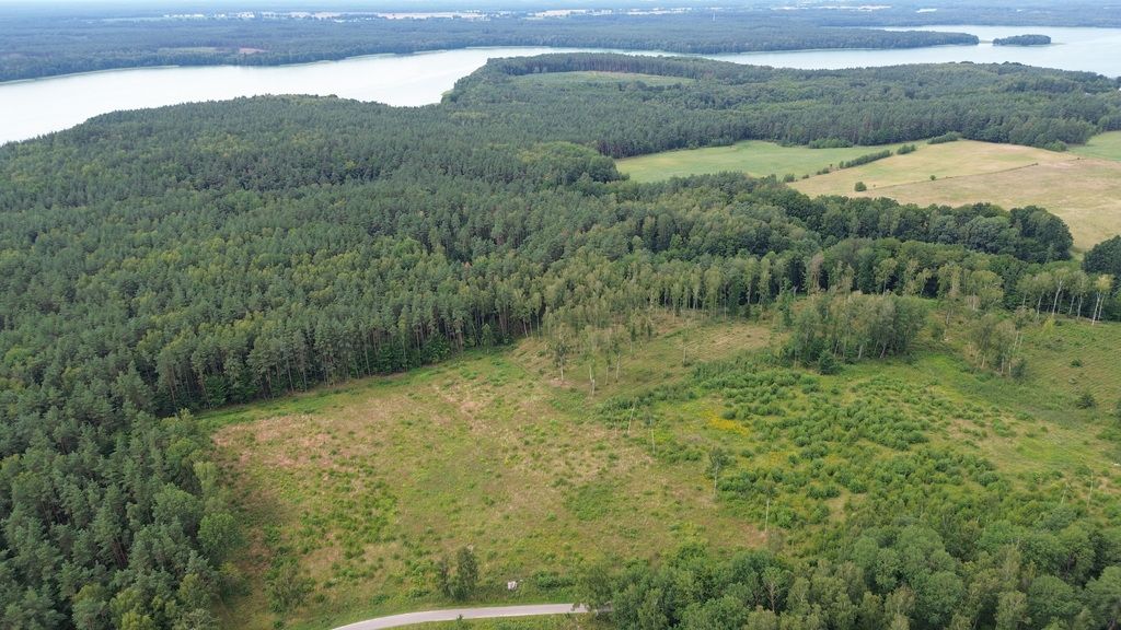 Działka budowlana Dąbrowica. Zdjęcie 19