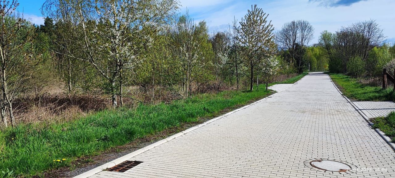 Działka budowlana Grodowiec. Zdjęcie 3