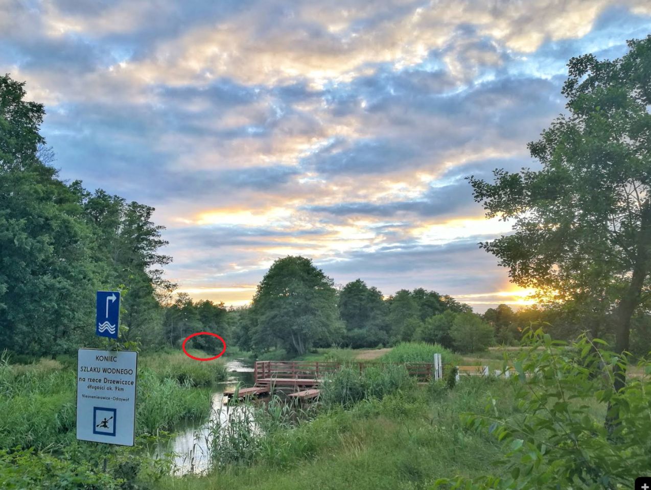 Działka rolna Odrzywół, ul. Praga. Zdjęcie 3