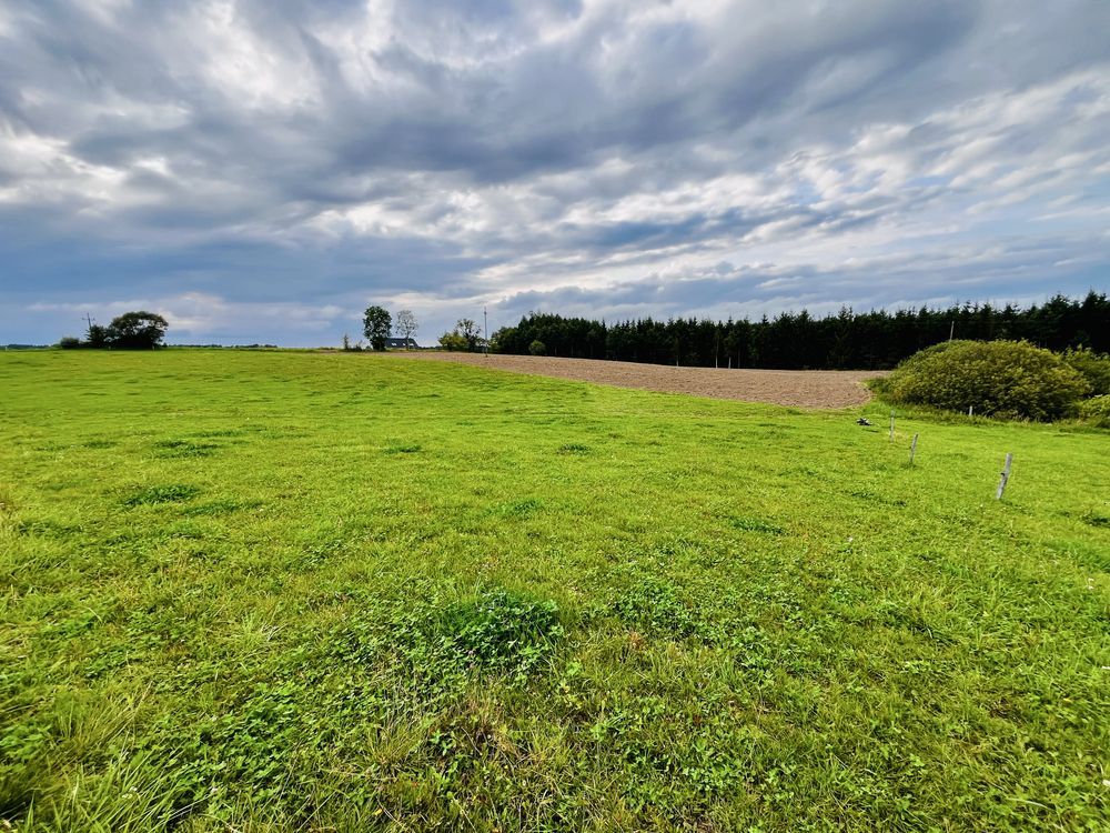 Działka budowlana Wipsowo. Zdjęcie 4