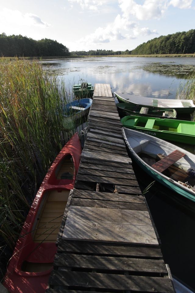 Działka rekreacyjna Potrzanowo, ul. Stare Potrzanowo. Zdjęcie 5