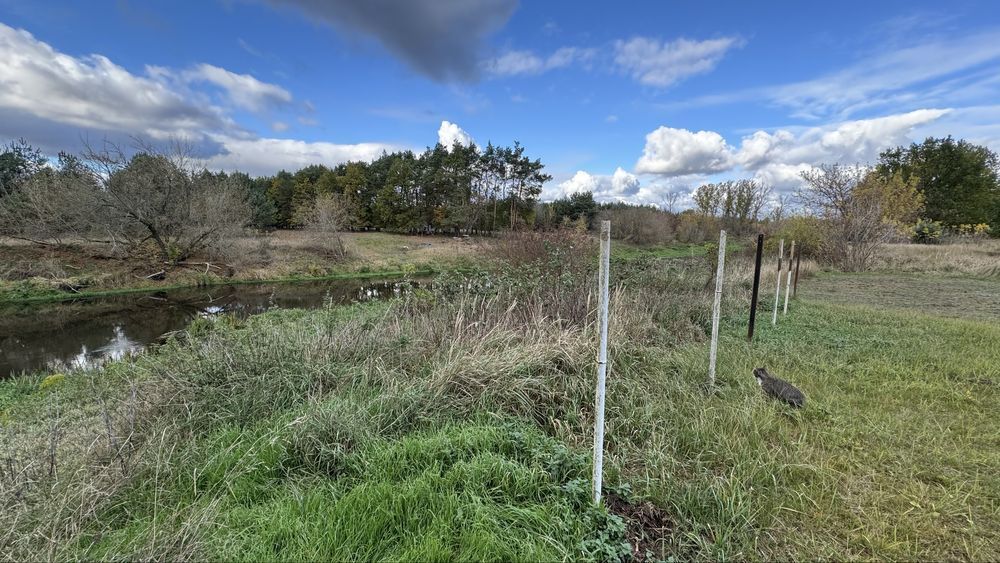 dom wolnostojący Sochaczew Chodaków. Zdjęcie 4