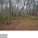 Działka leśna Bartniki, ul. Spokojna. Zdjęcie 6