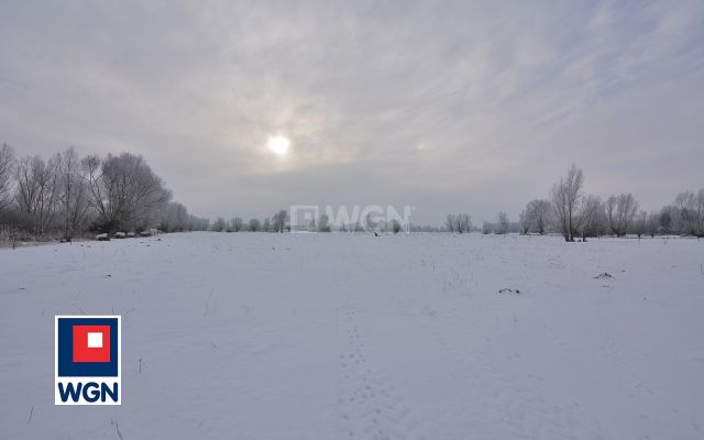 Działka rolna Markusy. Zdjęcie 14