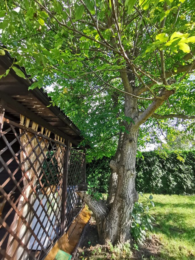 Działka rod Sosnowiec, ul. Portowa. Zdjęcie 3