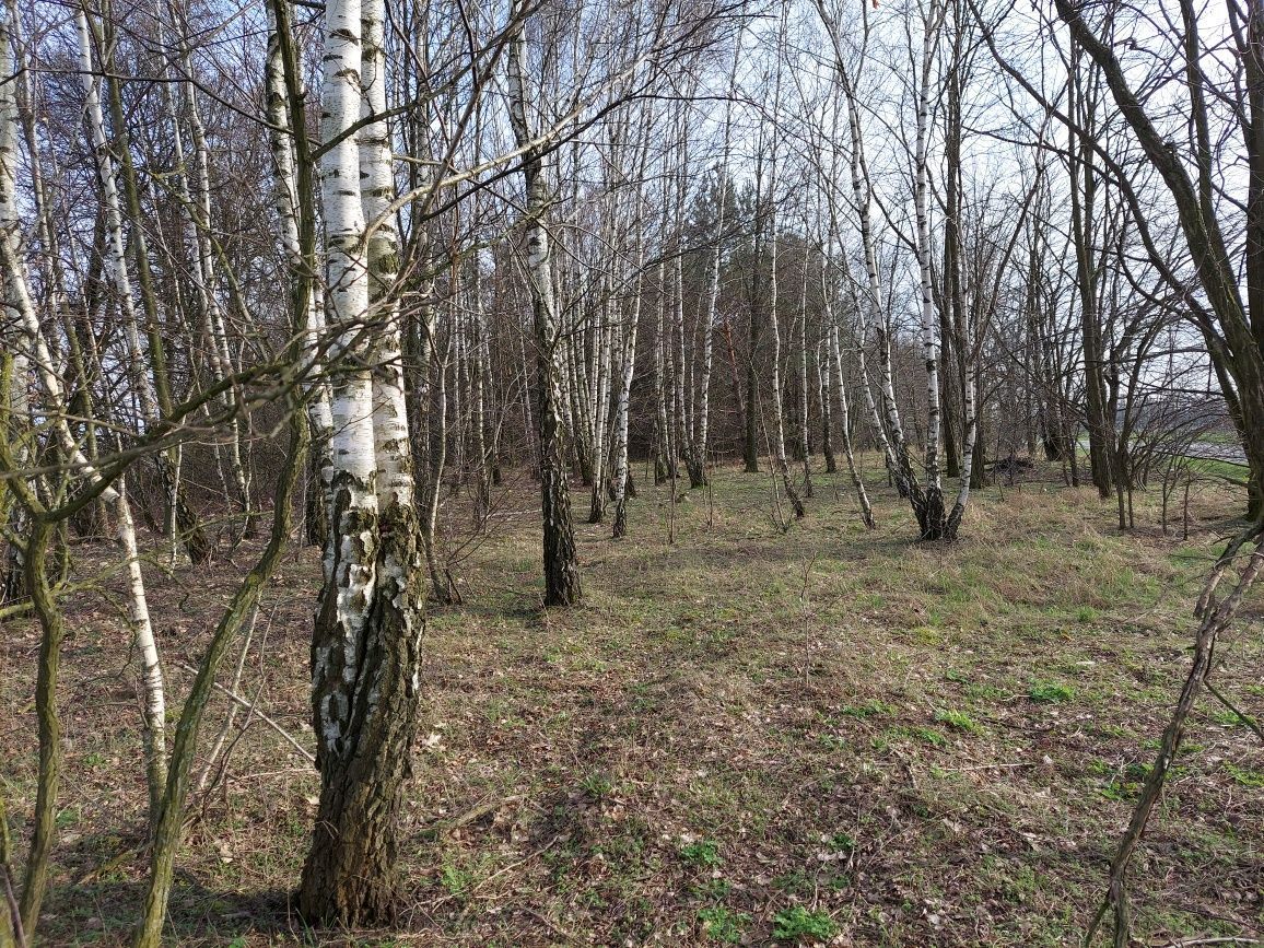 Działka budowlana Drzązna