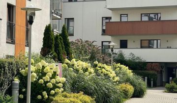 Mieszkanie 3-pokojowe Warszawa Wilanów, ul. Sarmacka