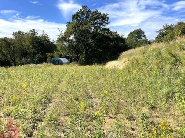 Działka budowlana Michałowice, ul. Mały Kraków. Zdjęcie 6