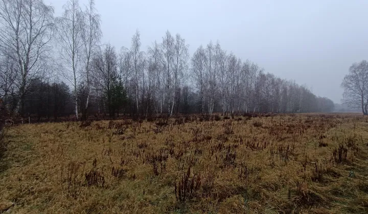 Działka budowlana Chylice, ul. Bieszczadzka