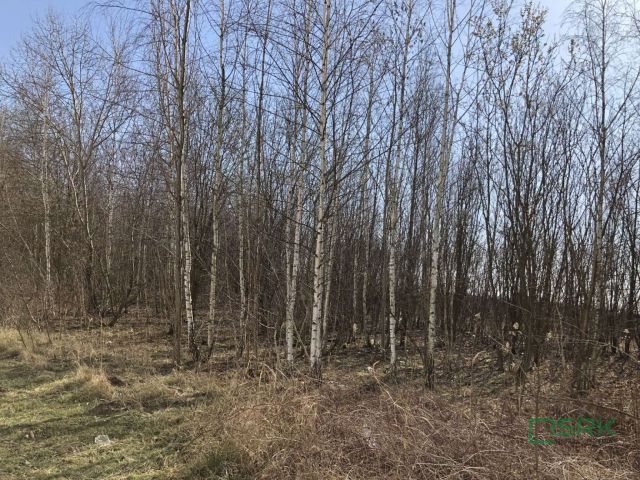 Działka Bytom, ul. Magdaleny. Zdjęcie 4