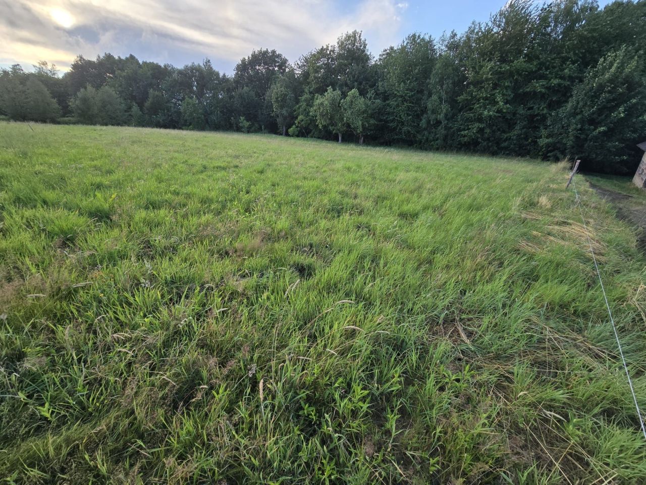Działka budowlana Lubenia Obręczna. Zdjęcie 3
