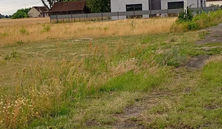 Działka budowlana Podkampinos