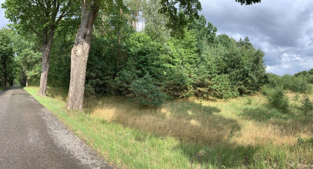 Działka budowlana Dębczyno. Zdjęcie 2