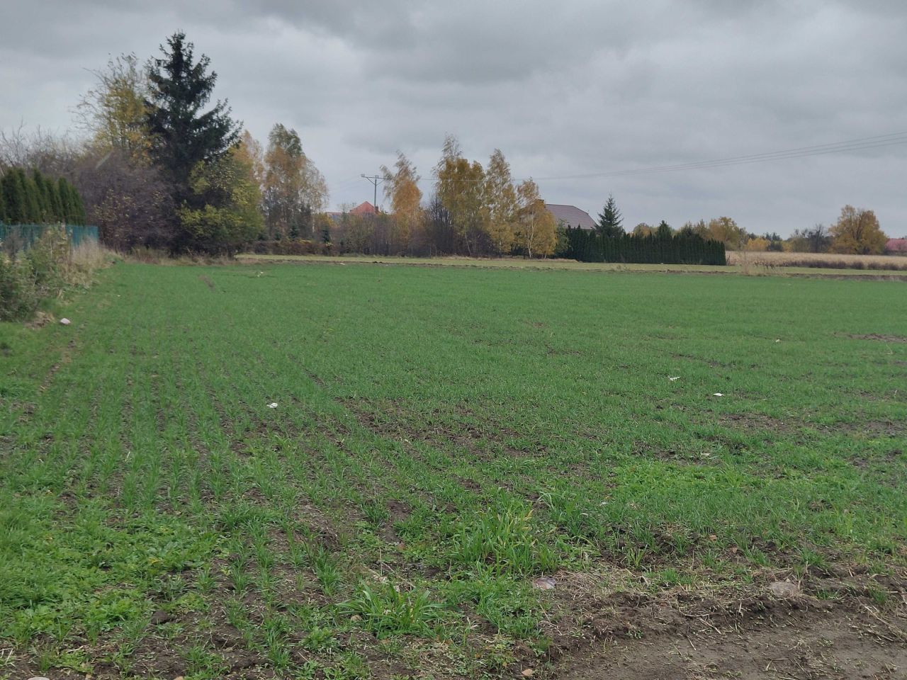 Działka budowlana Rumunki Podgłodowskie. Zdjęcie 2