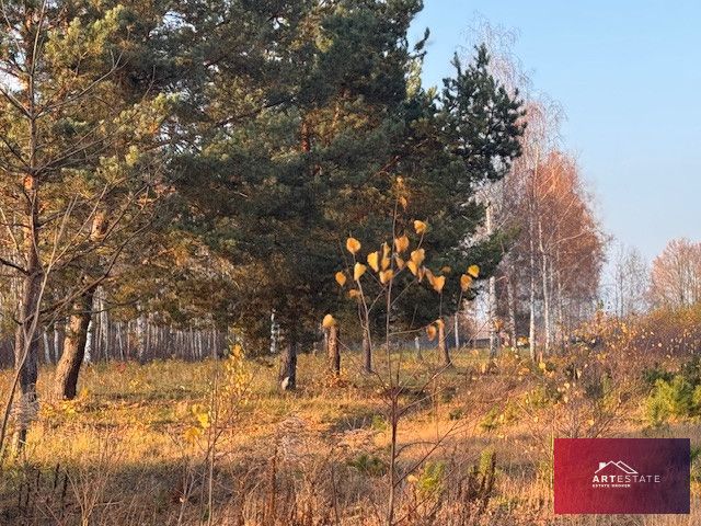 Działka budowlana Nowomłyny. Zdjęcie 4