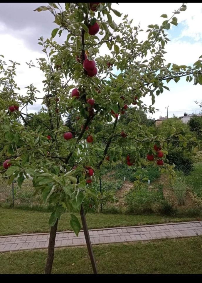 Działka rekreacyjna Łańcut. Zdjęcie 7