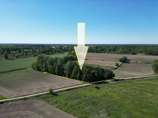 Działka Ligota. Zdjęcie 5