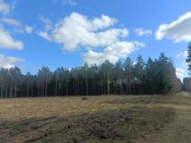 Działka leśna Szczytno. Zdjęcie 1