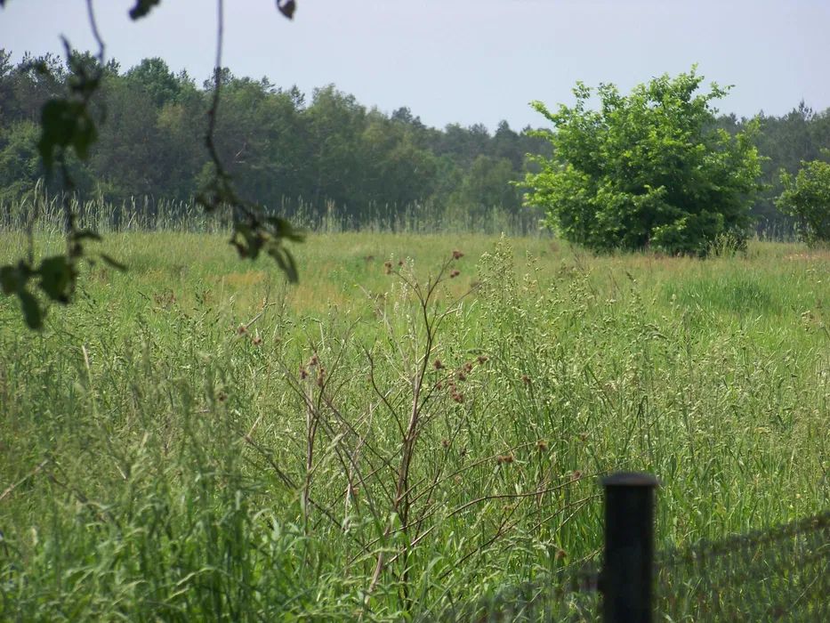 Działka rolno-budowlana Waśkowólka. Zdjęcie 2