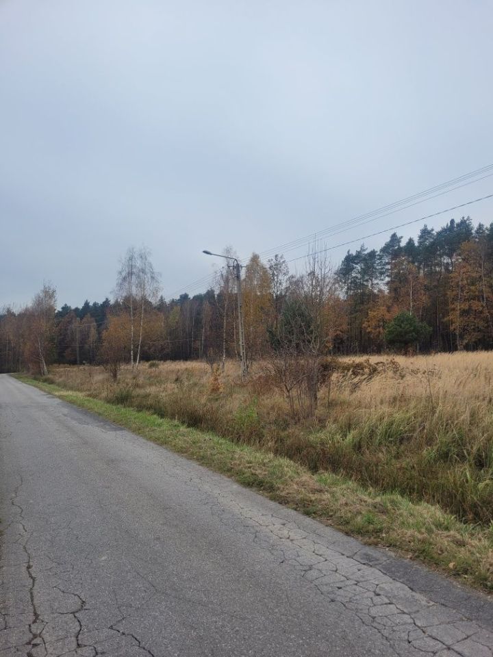 Działka budowlana Borki. Zdjęcie 6