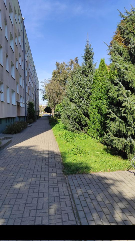 Mieszkanie 3-pokojowe Poznań Rataje, os. Oświecenia. Zdjęcie 4