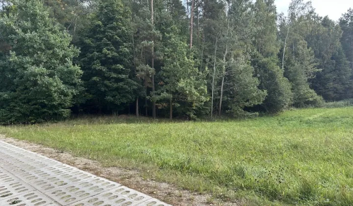 Działka leśna Głodowo