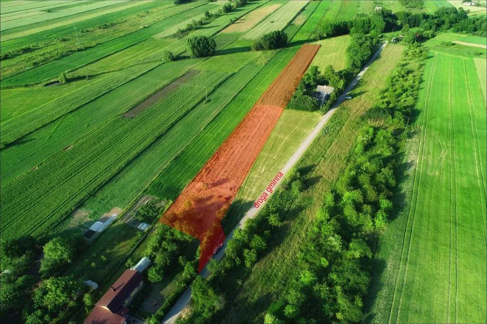 Działka rolno-budowlana Sosnówka. Zdjęcie 4