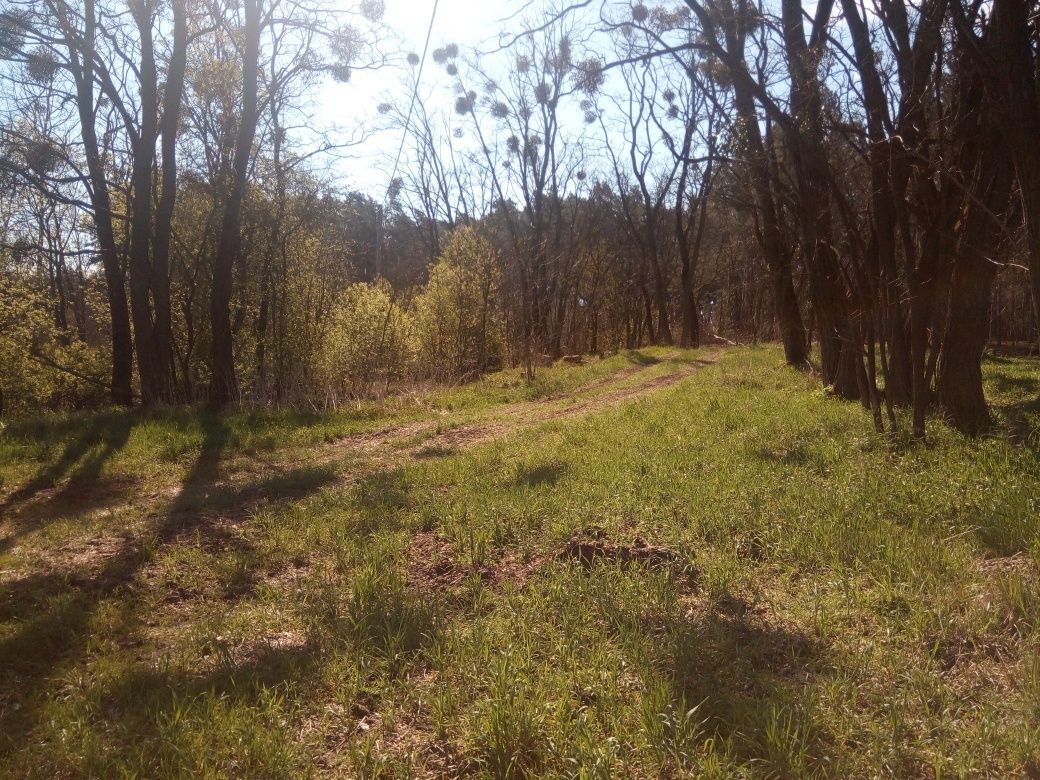 Działka rolno-budowlana Przęsławice. Zdjęcie 6