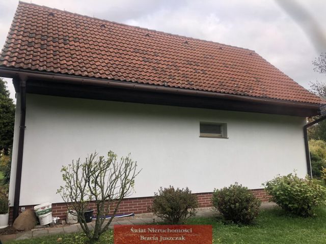 bliźniak Święta Katarzyna. Zdjęcie 6