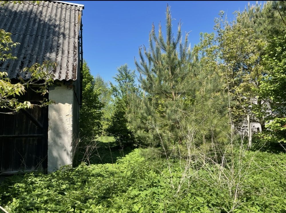 dom wolnostojący Jasień. Zdjęcie 4