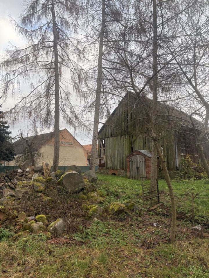 Działka rolno-budowlana Jemiołów. Zdjęcie 6