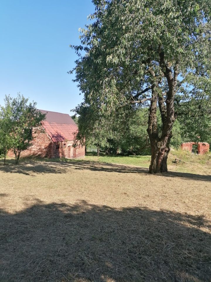 Działka rolno-budowlana Stare Rochowice, Stare Rochowice. Zdjęcie 13