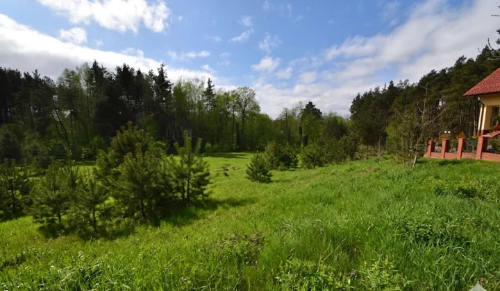 Działka budowlana Gołubie, ul. Jarzębinowa