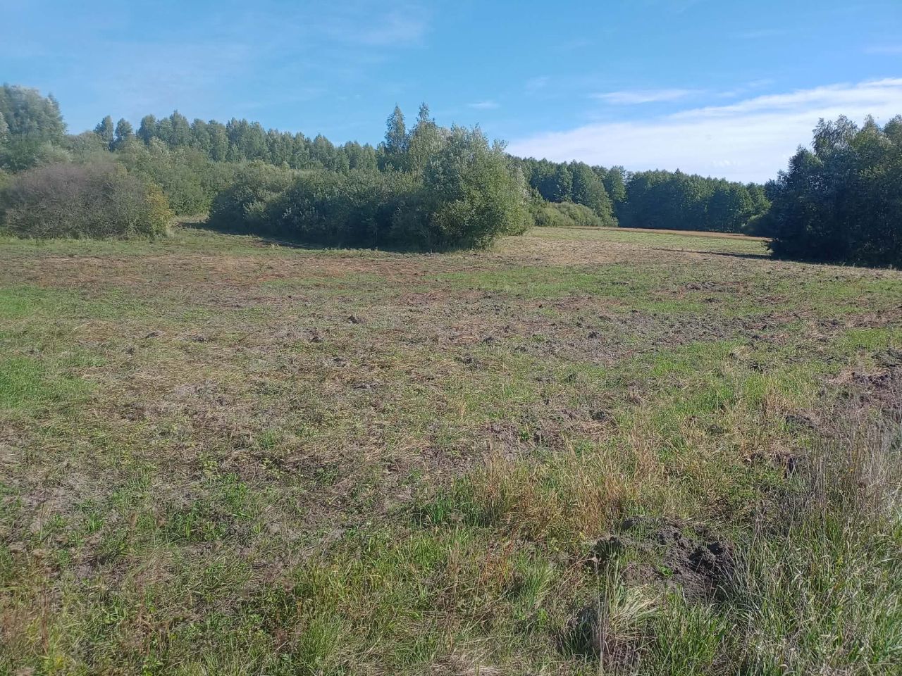 Działka rolna Bukowa Mała Bukowa Mała-Kolonia. Zdjęcie 2