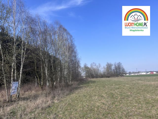 Działka budowlana Kaleń-Towarzystwo, ul. Magnolii. Zdjęcie 2