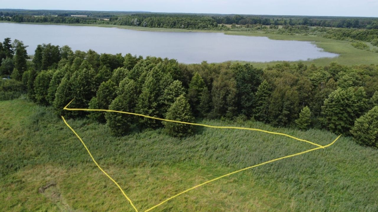 Działka rekreacyjna Gorzów Wielkopolski. Zdjęcie 2